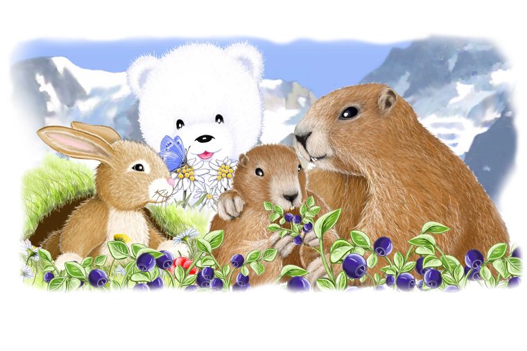 carte-marmotte-tk-myrtille-red-blog