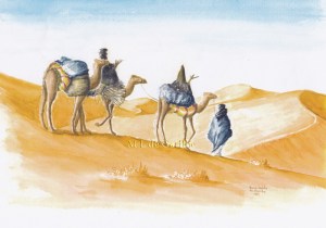 le peuple touareg. modif