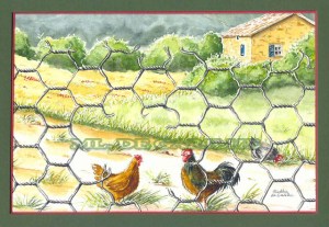 poules beaujolaises avec maisonRI