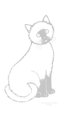 chat Céleste coloriage